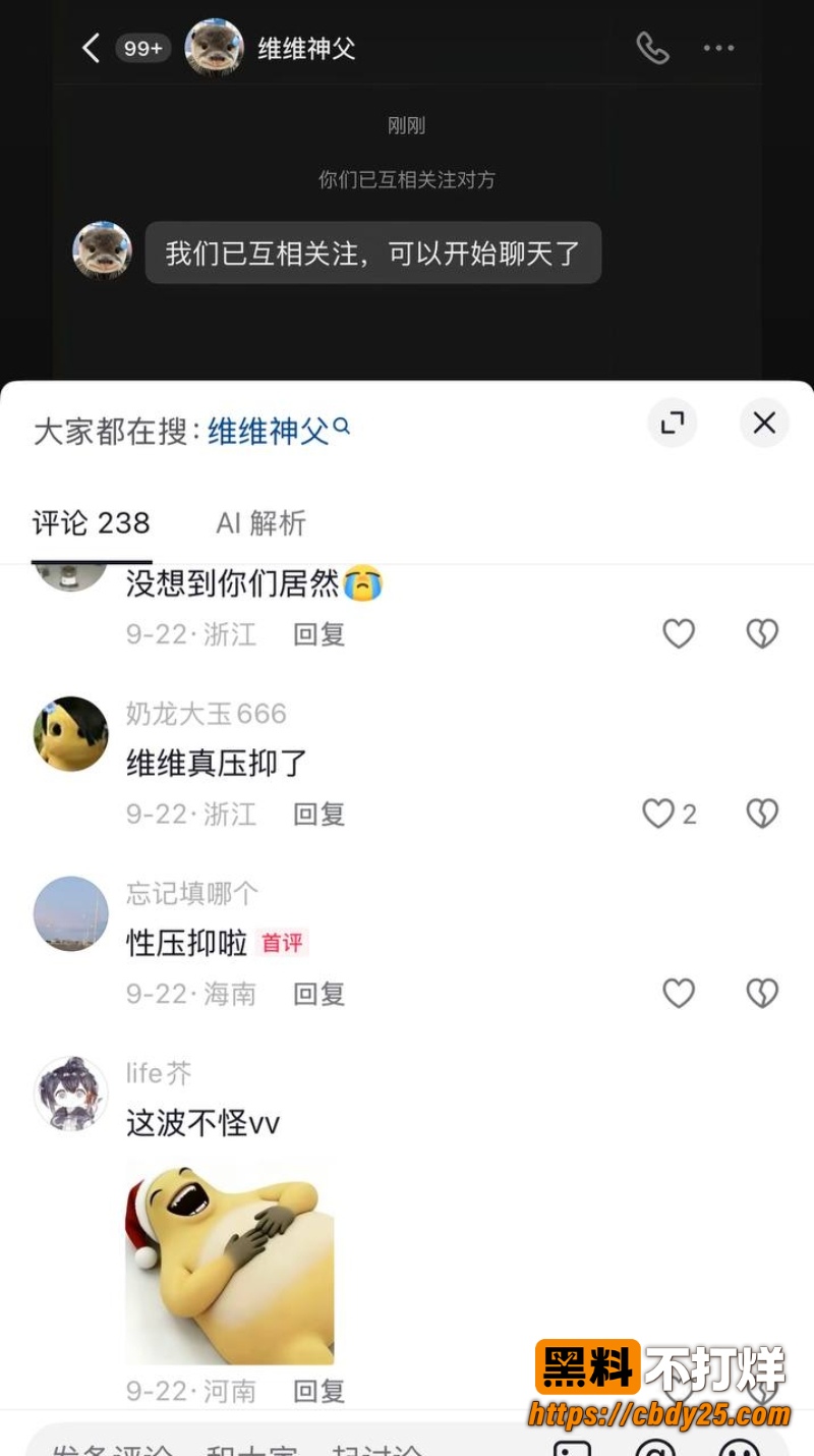 维维神父 29