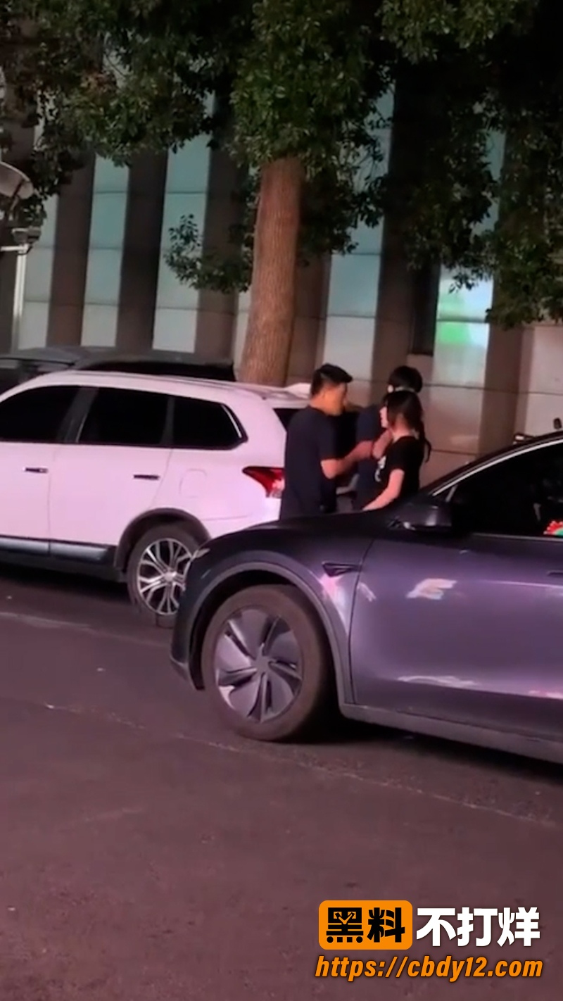 特斯拉车主的妻子 5