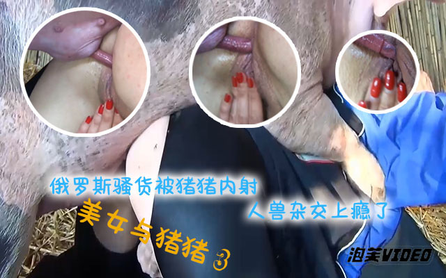 俄罗斯骚货被猪猪疯狂内射，还觉得不够太骚了简直 포스터