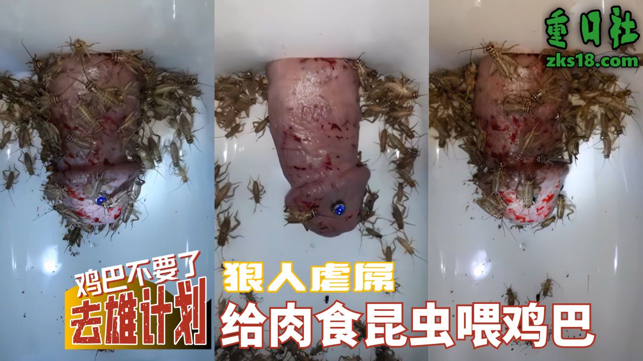 狠人虐屌-给肉食昆虫喂鸡巴 のポスター