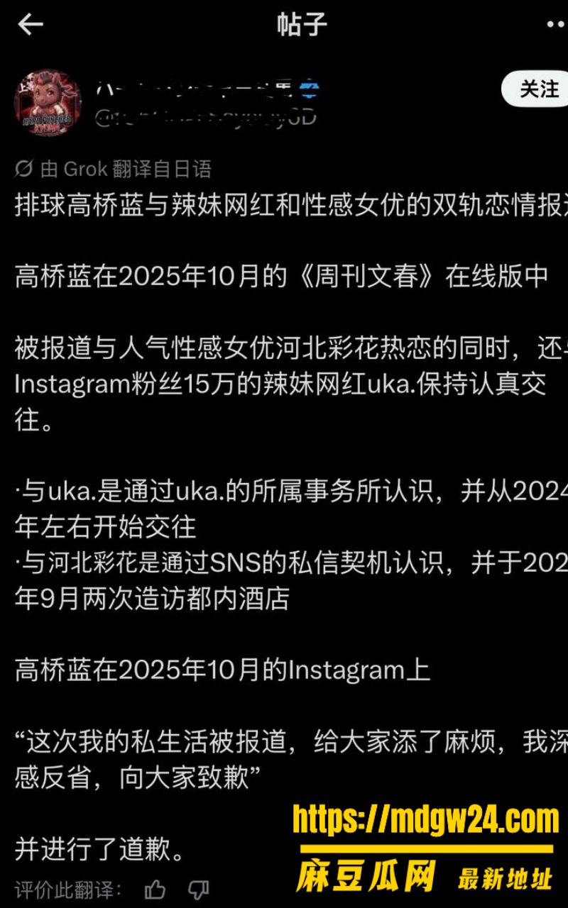 日本男排 高橋兄弟34