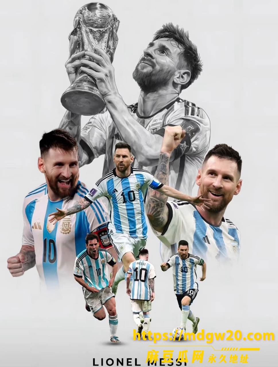 photo_2_2026-09-01_18-25-35