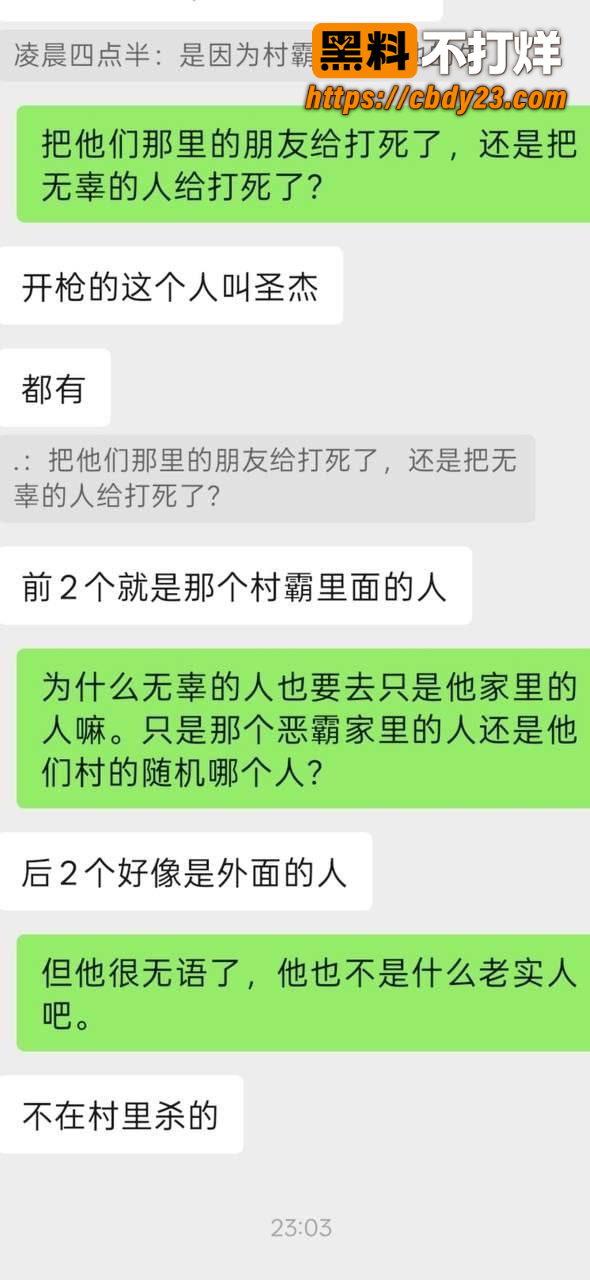 揭阳龙岭村枪杀村霸事件 3