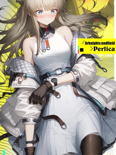 [Toucan] Perlica/佩麗卡/ペリカ [AI Generated] 포스터