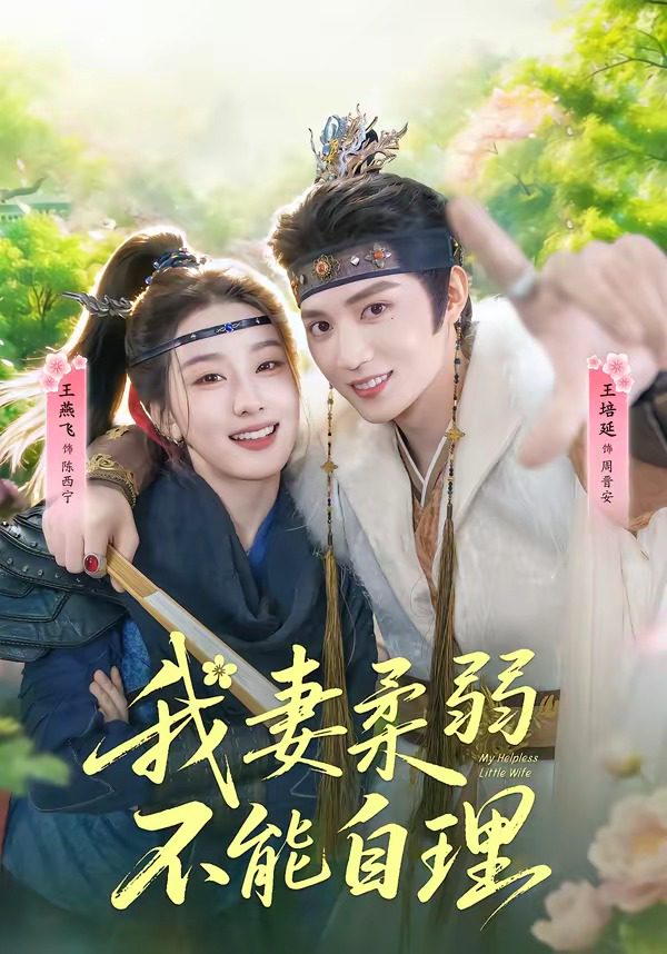 我妻柔弱不能自理 的封面