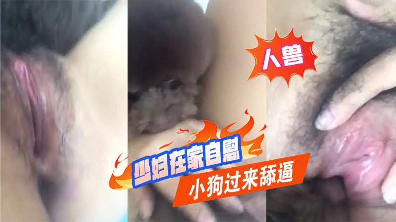 【人兽】少妇在家自慰，小狗过来舔逼