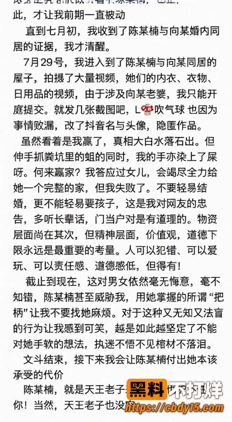 安徽网红L吹气球 19