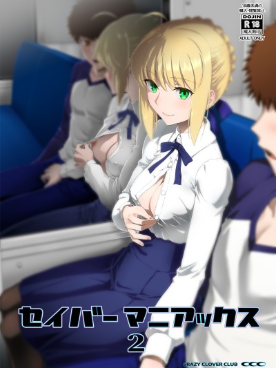 Saber狂热者2 的封面
