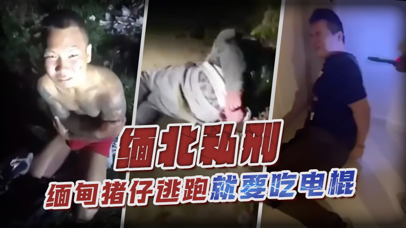 Poster para sa 【缅北私刑】缅甸猪仔逃跑就要吃电棍