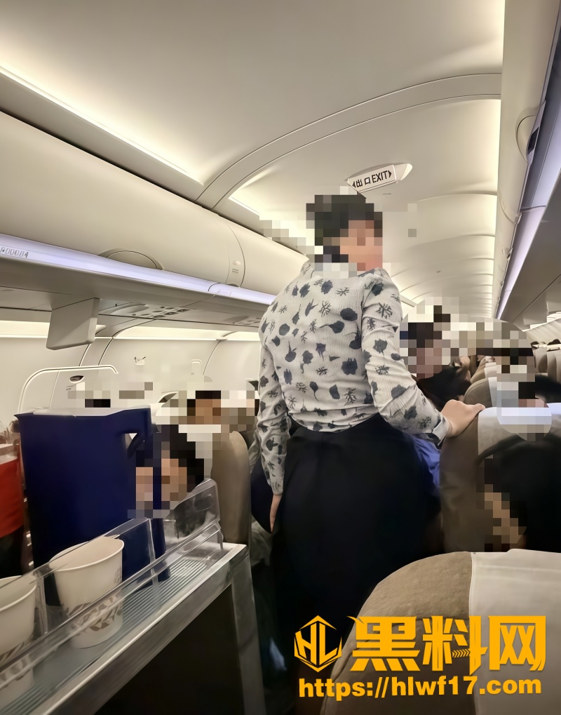 东航乘客逼迫空姐下跪 4
