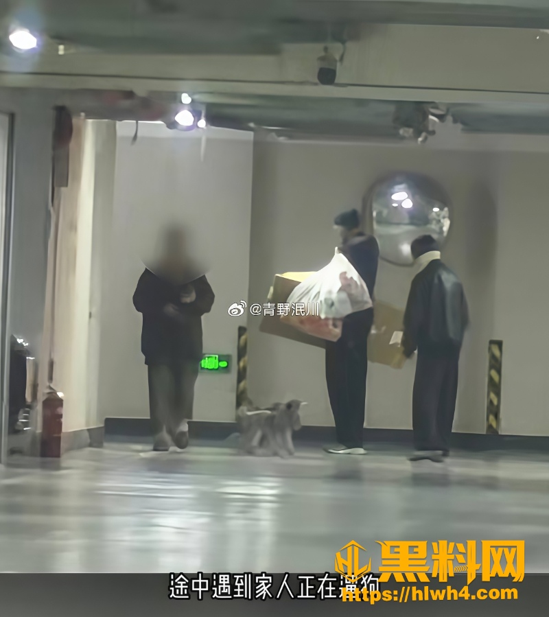 丢垃圾视频实锤恋情5