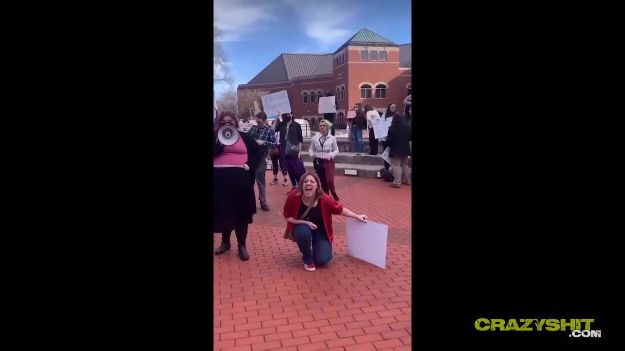 Плакат для 疯狂的婊子们的行为