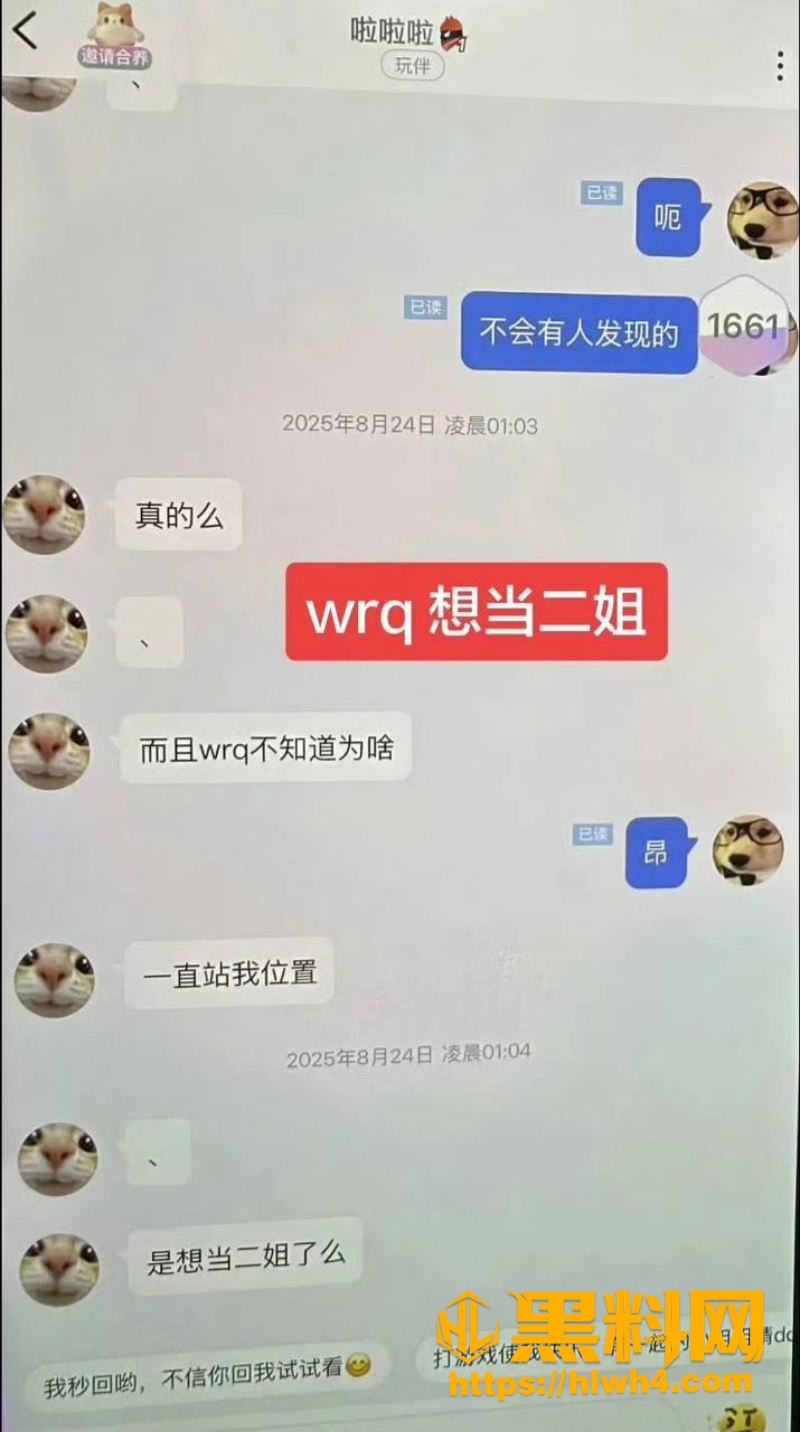聊天记录 3