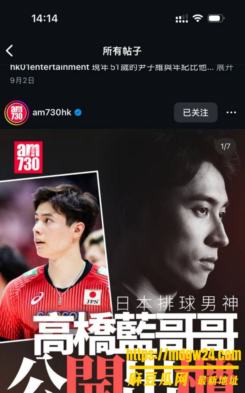 日本男排 高橋兄弟4