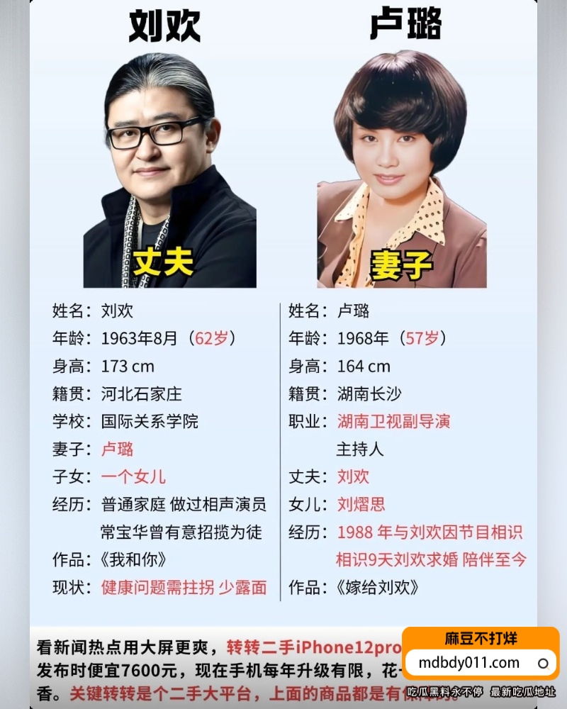 刘欢 (13)