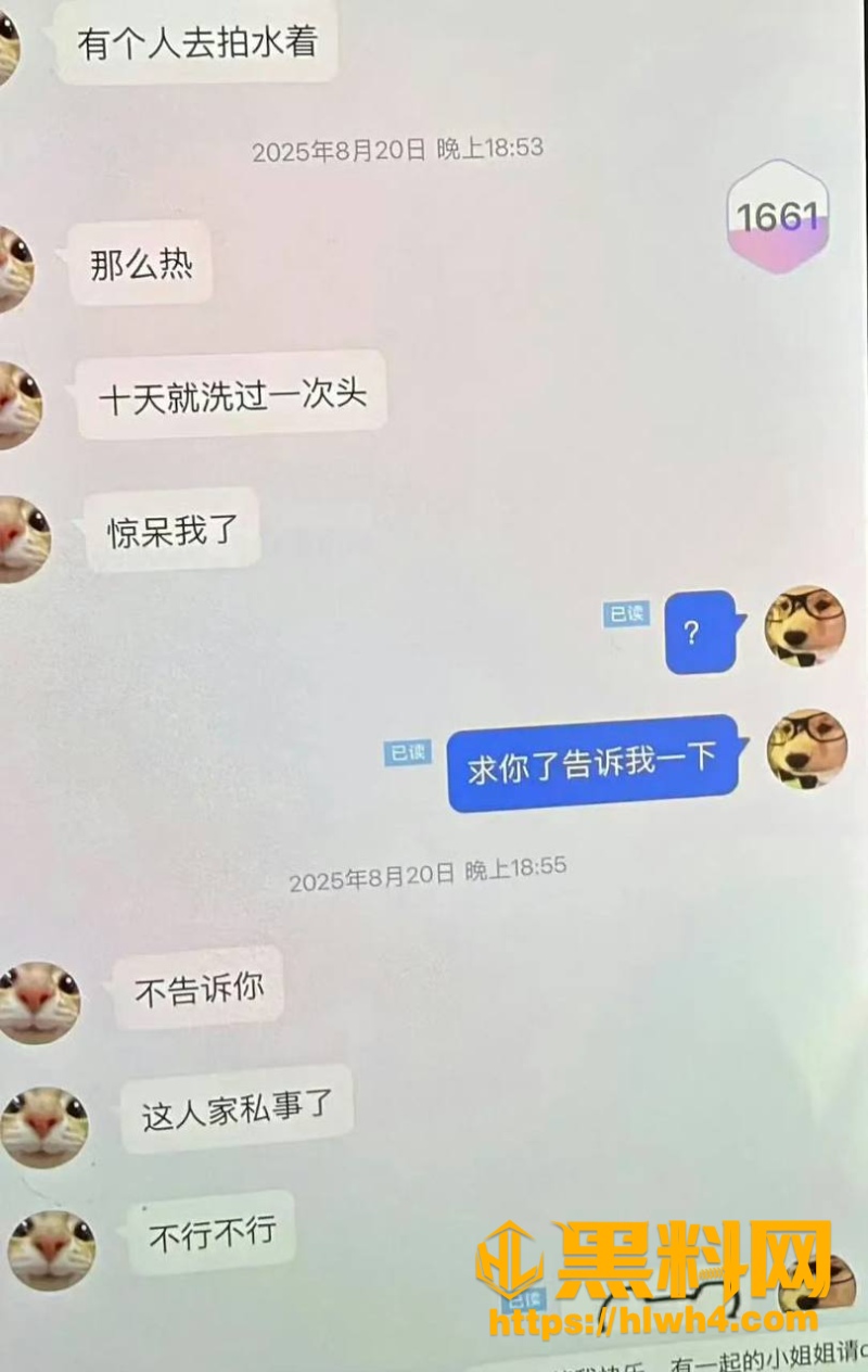 聊天记录 6