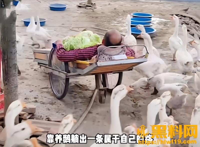 躺卧板车创业故事2