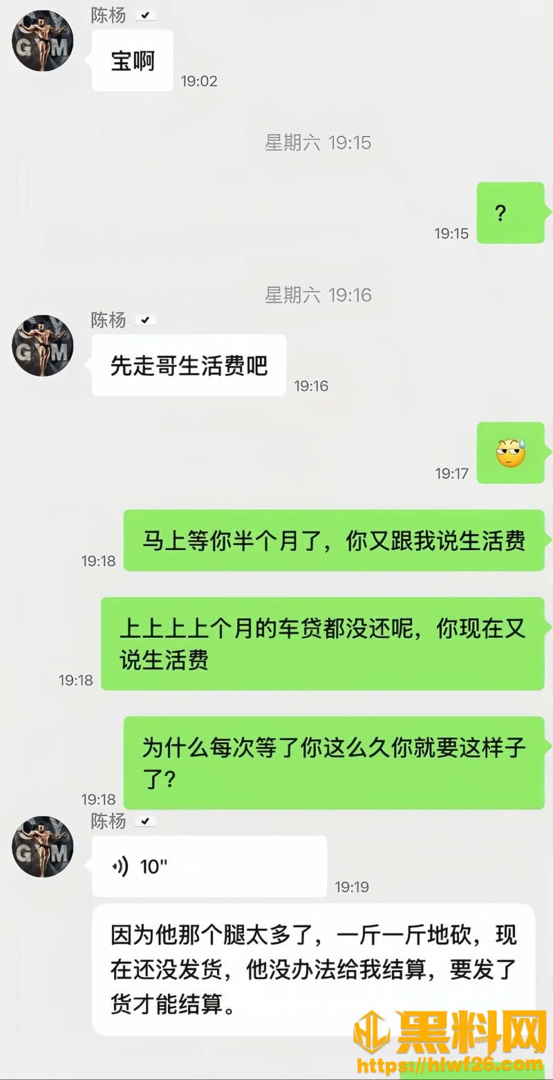男网红陈杨非法集资黑料12W800px
