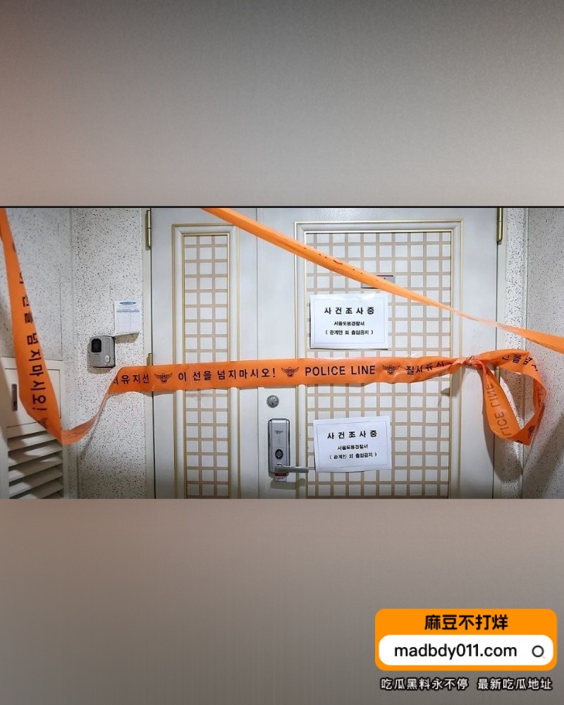 文文 (2)