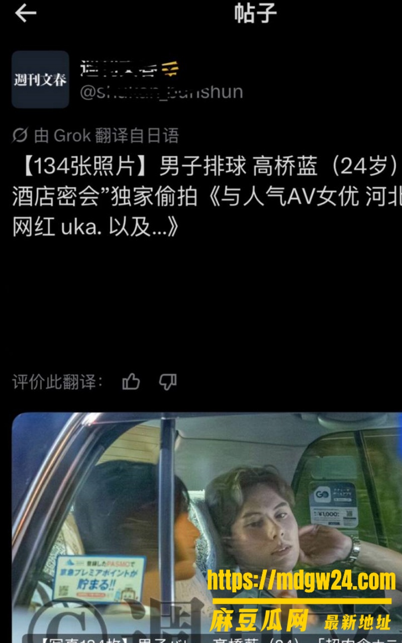 日本男排 高橋兄弟36