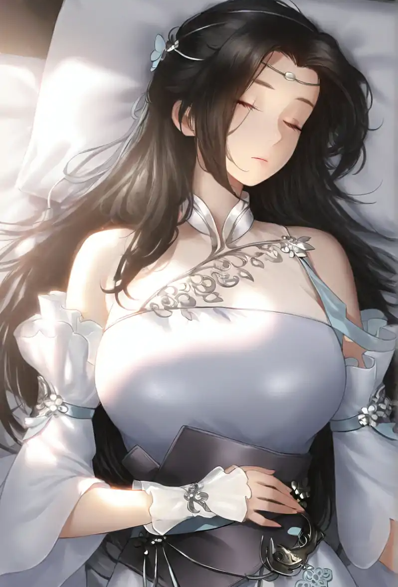 琼明神女录：语涵回忆录 的封面