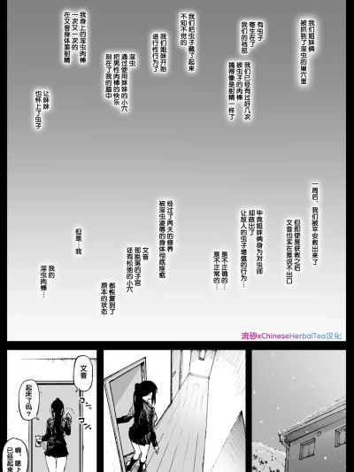 Áp phích cho [流砂xChineseHerbalTea汉化][アヘ丸] 後遺症の姉妹