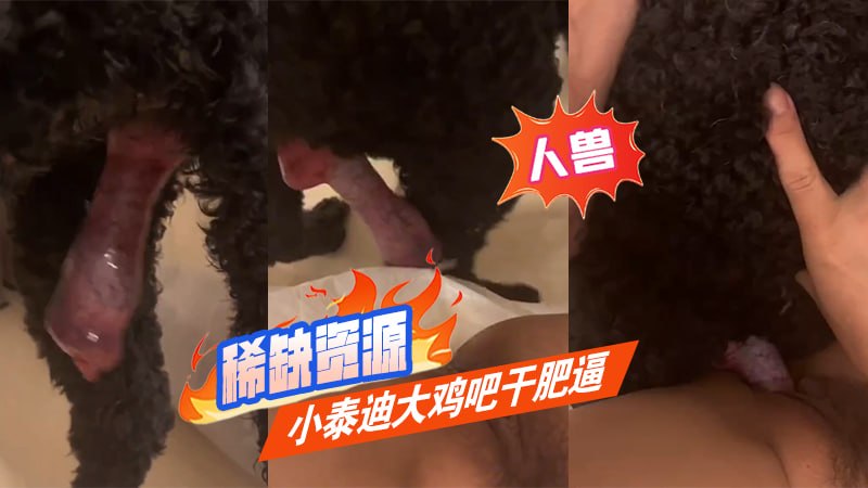 【人兽】稀缺资源 小泰迪大鸡吧干肥逼