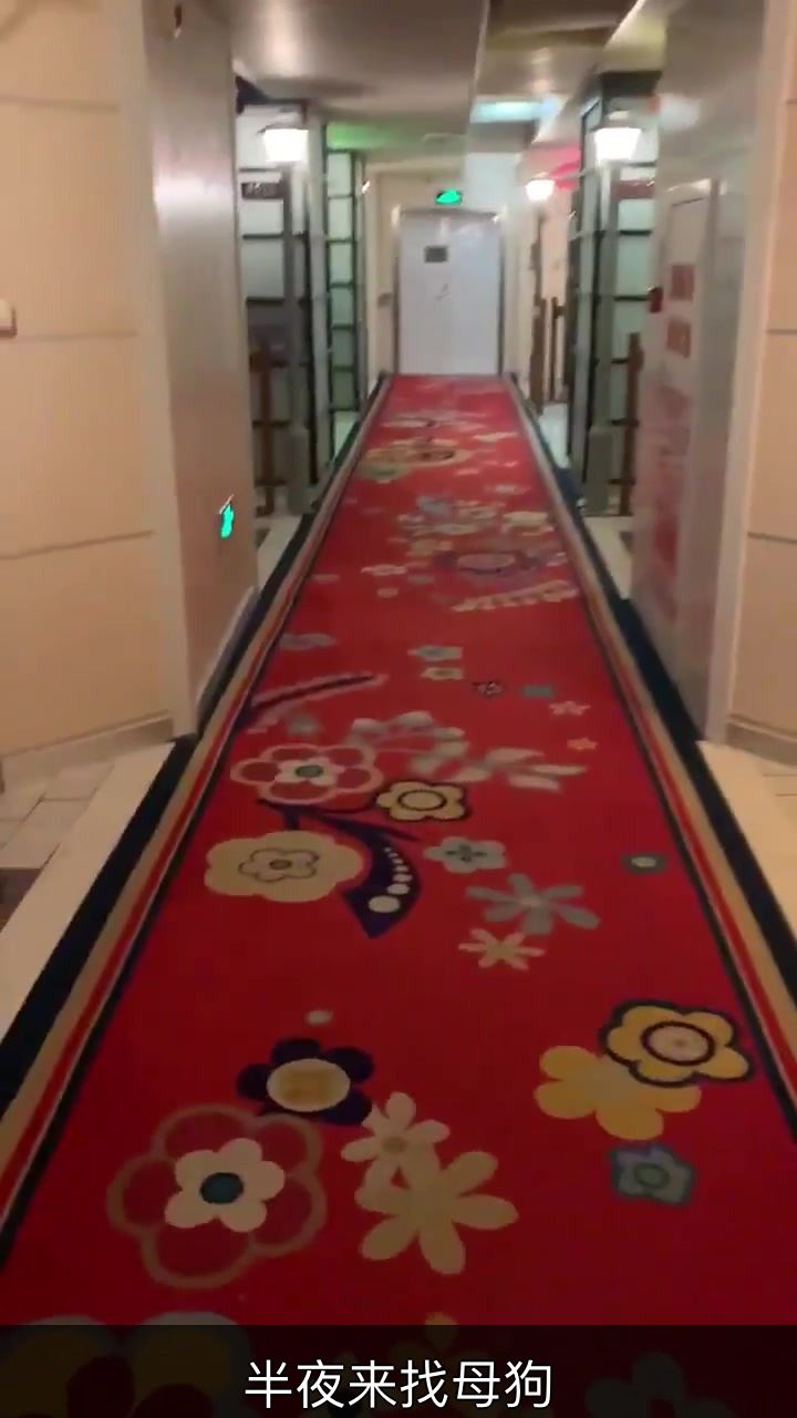 半夜来找母狗