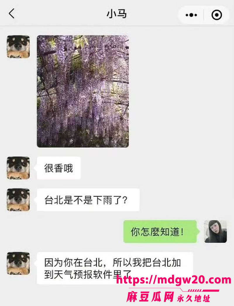 时代少年团队长马嘉祺被曝与谢可寅秘密恋爱期间出轨 私联女粉丝还涉集资
