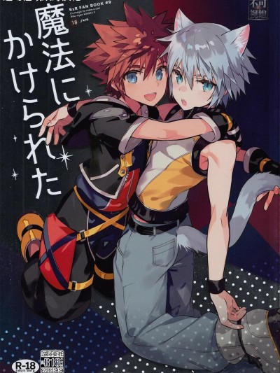 Poster para sa [迷幻仙域×真不可视汉化组] (C94) [esto (ニノモトコ)] 魔法にかけられた