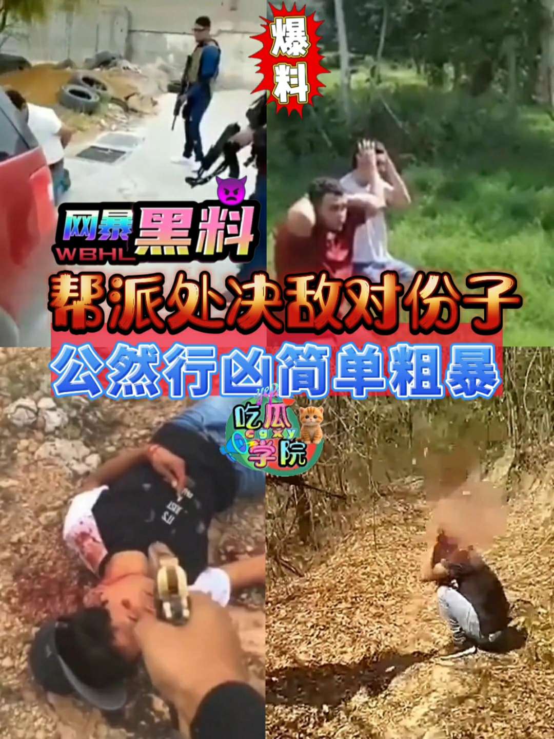 Áp phích cho 【网暴黑料】帮派处决敌对份子，公然行凶简单粗暴