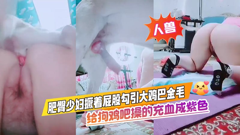 【人兽】肥臀少妇撅着屁股勾引大鸡巴金毛，给狗鸡吧操的充血成紫色