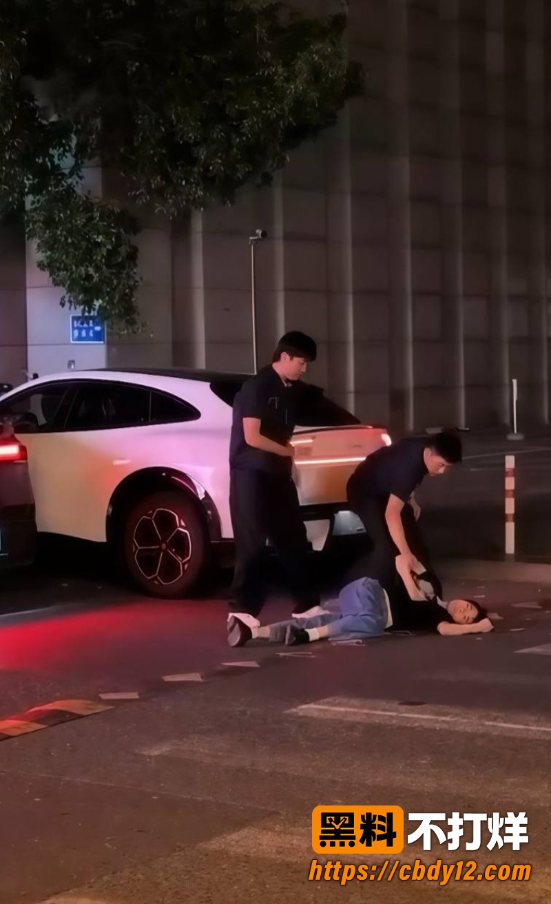 特斯拉车主的妻子 11