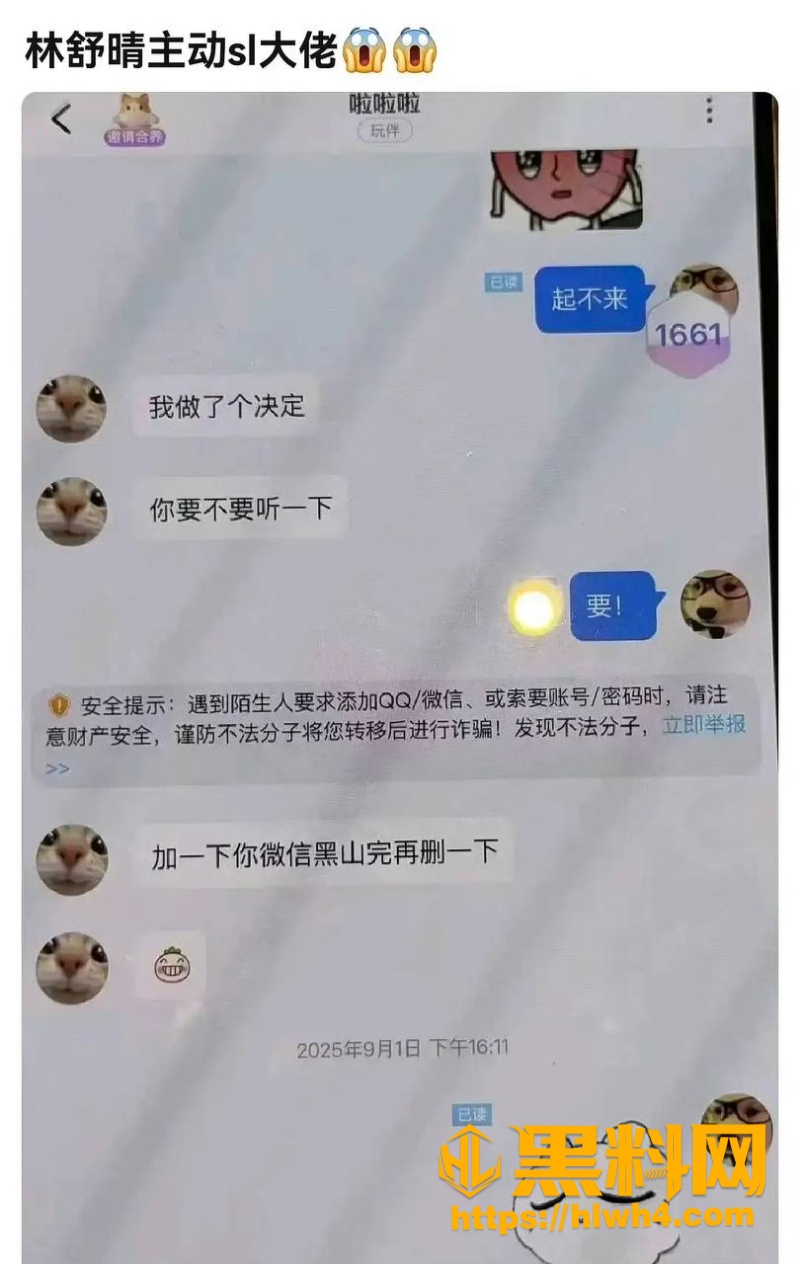 聊天记录 5
