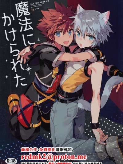 โปสเตอร์สำหรับ 被魔法束缚 (王国之心)