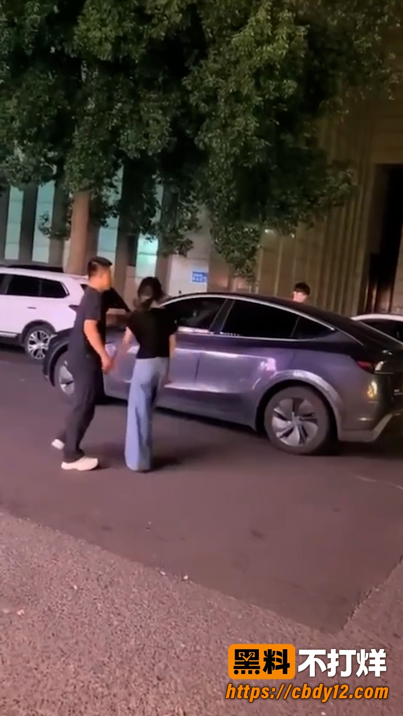 特斯拉车主的妻子 7