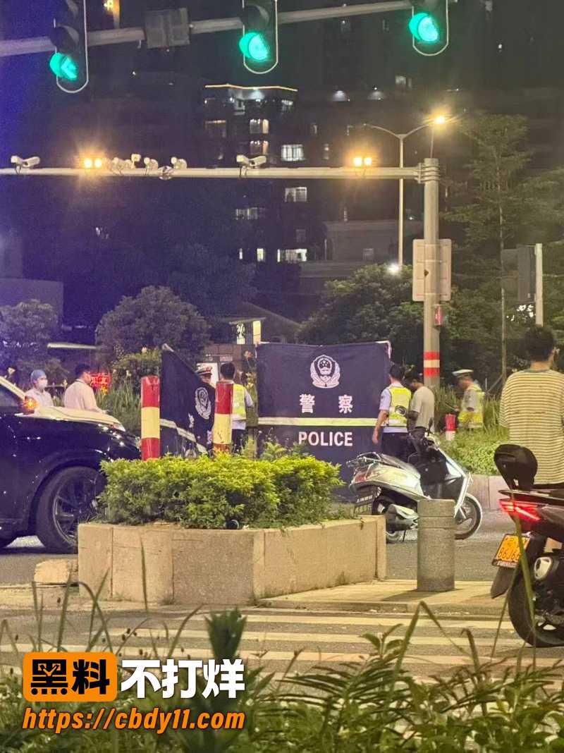 广东揭阳阳美保利一期 9