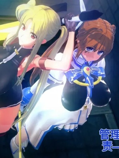 管理局魔导士的职责 1-5 のポスター