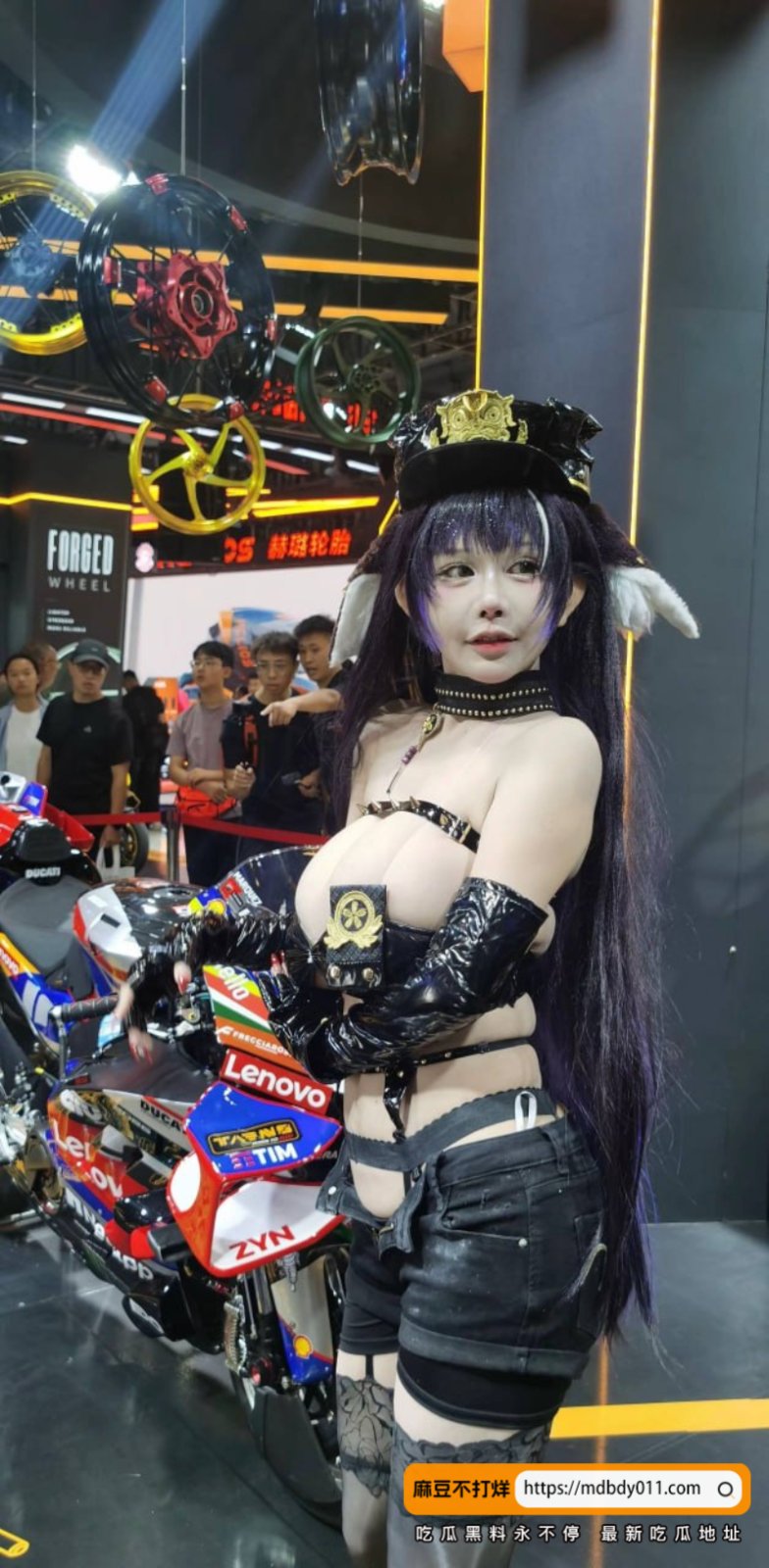喵喵球5