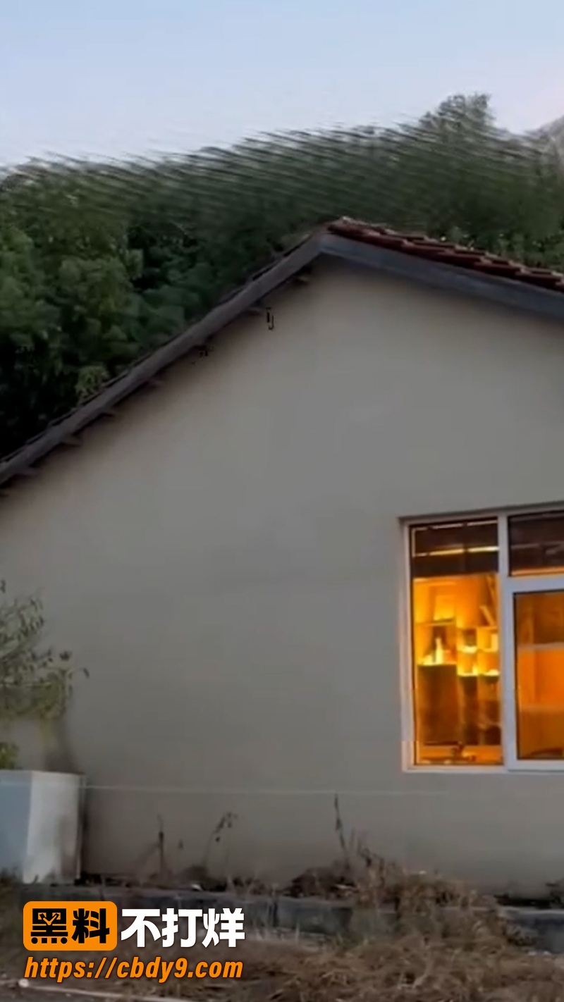 上官正义卧底半月曝光 1