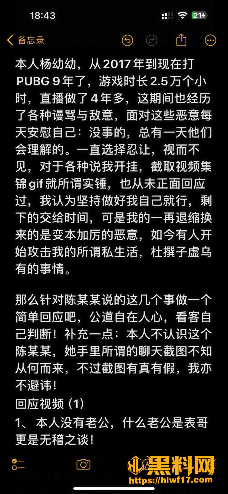 隐婚4 2