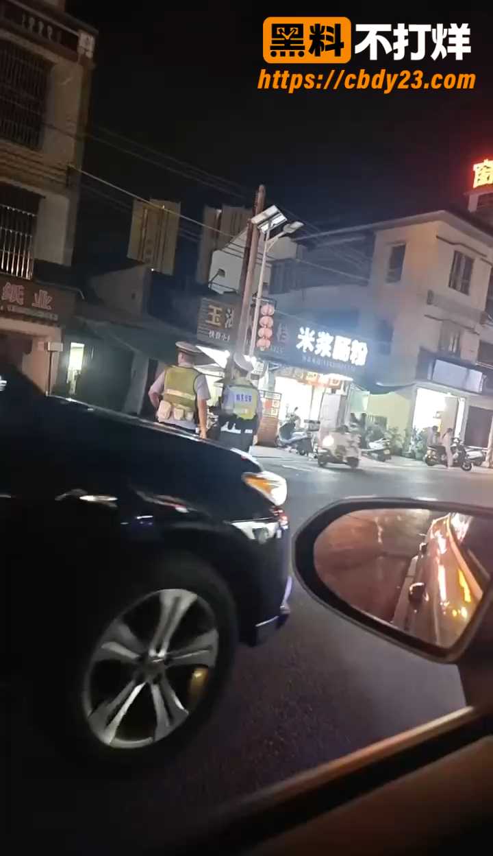 揭阳龙岭村枪杀村霸事件 4 1