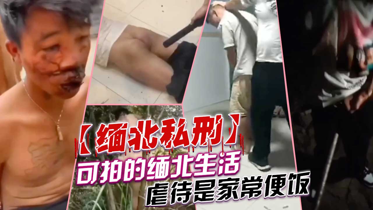 Плакат для 【缅北私刑】可怕的缅北生活，虐待是家常便饭