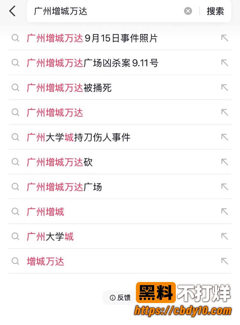 广州增城万达突传砍人惊魂 9
