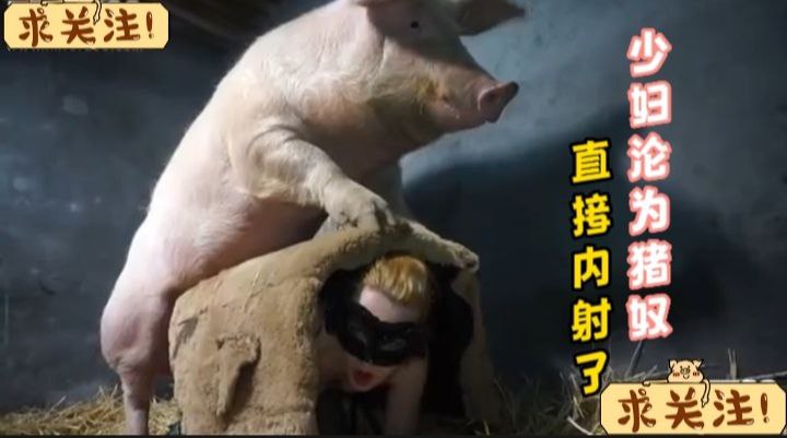Poster for 少妇沦为猪奴，直接内射了